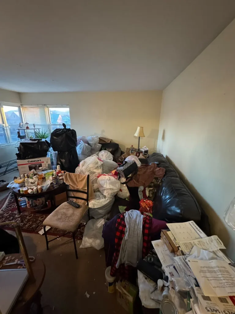 Cluttered living room before junk removal cleanout in Ithaca, NY with bags, boxes, furniture, and household items piled throughout the space.