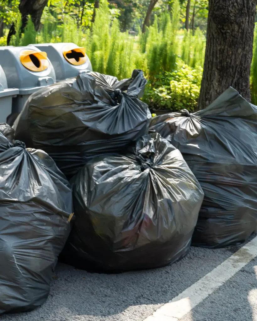 Bags of household trash set out at the curb for weekly trash pickup in Corning, NY